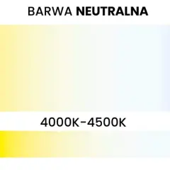 Wybór jaka barwa światła do biura: ciepła (2500-3500K), neutralna (4000-4500K) lub zimna (6000-6500K).