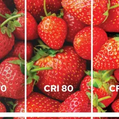 Trzy panele z soczystymi truskawkami, pokazujące różnice w odwzorowaniu barw przy CRI 70, 80 i 100.