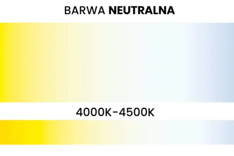 Wybór jaka barwa światła do biura: ciepła (2500-3500K), neutralna (4000-4500K) lub zimna (6000-6500K).