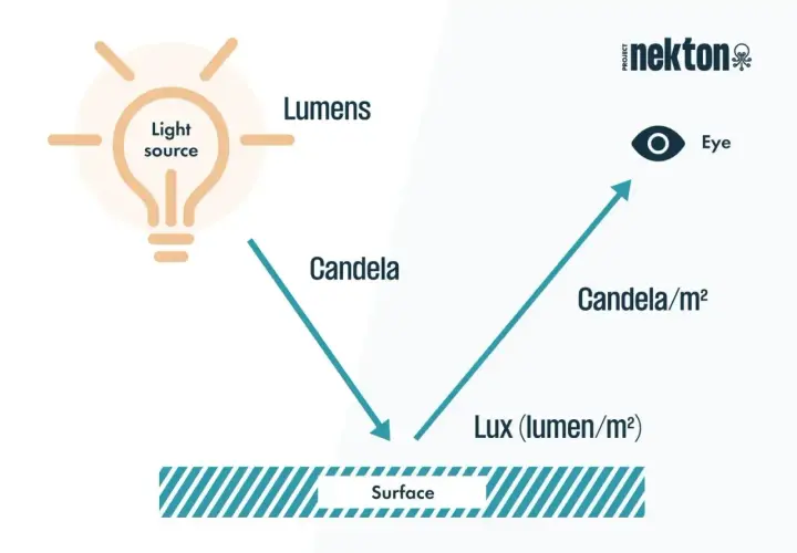 Schemat ilustruje moc światła: źródło emituje lumeny, które padają na powierzchnię jako luksy. Odbite światło dociera do oka jako kandele/m².