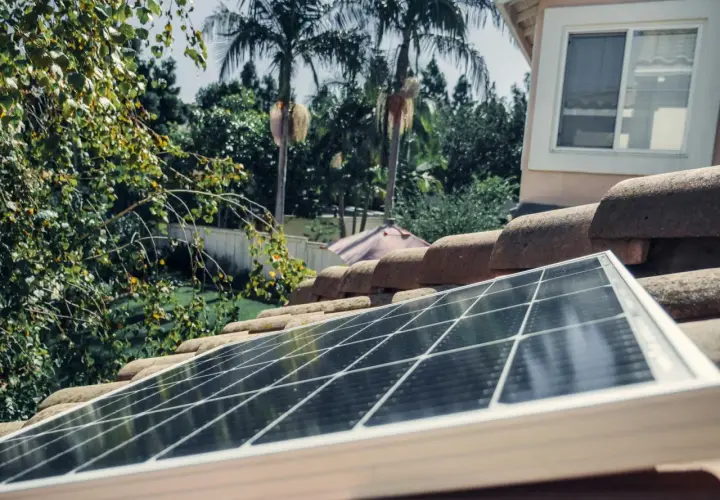 Panel solarny na dachu, obok palm. Czy lampa solarna ładuje się od żarówki? Nie, potrzebuje słońca.
