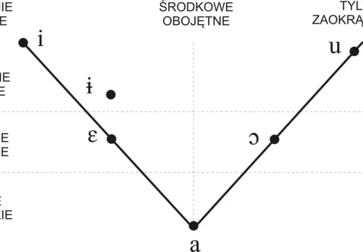 Wykres samogłosek: przednie płaskie (i, ε), środkowe obojętne (•, ǝ), tylne zaokrąglone (u, ɔ). Niskie szerokie to 'a'.