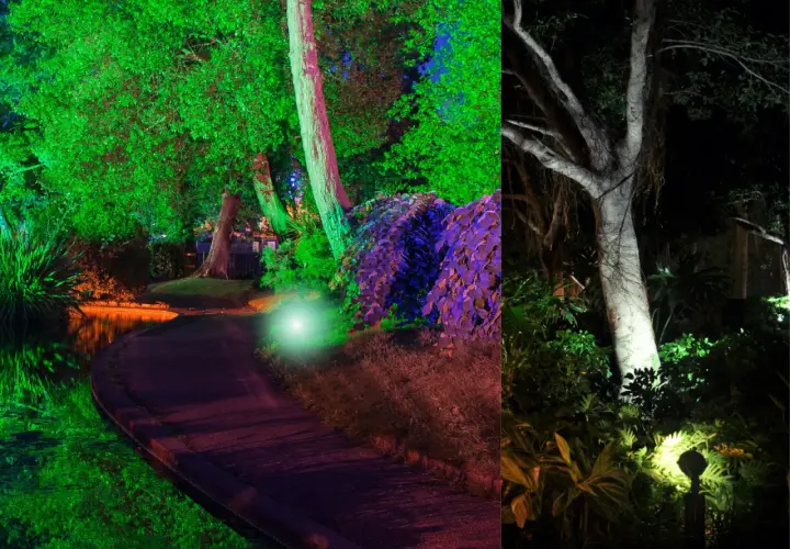 Magiczny ogród nocą. Oświetlenie drzewa tworzy surrealistyczną atmosferę, odbijając się w wodzie i podkreślając piękno roślin.