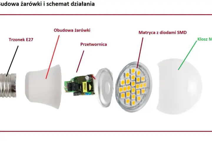 Rozłożona żarówka LED: trzonek E27, obudowa, przetwornica, matryca z diodami SMD i klosz mleczny. Poznaj budowę żarówki.