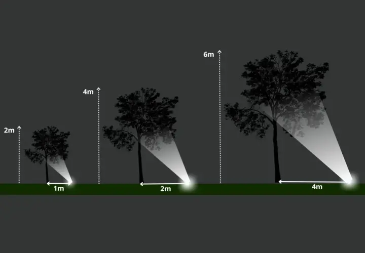 Ilustracja pokazuje, co ile metrów lampy ogrodowe oświetlają drzewa o różnej wysokości: 1m, 2m i 4m.